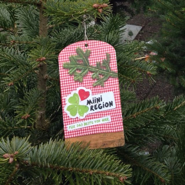 Die Ausnahme: Der Tannenbaum ist aus der Region! Die Ausnahme: Der Tannenbaum ist aus der Region!