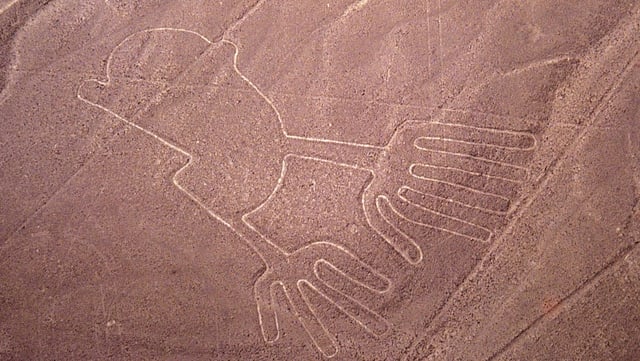 Linien in Vogelform auf Boden geritzt. Bild von oben. Linien in Vogelform auf Boden geritzt. Bild von oben.