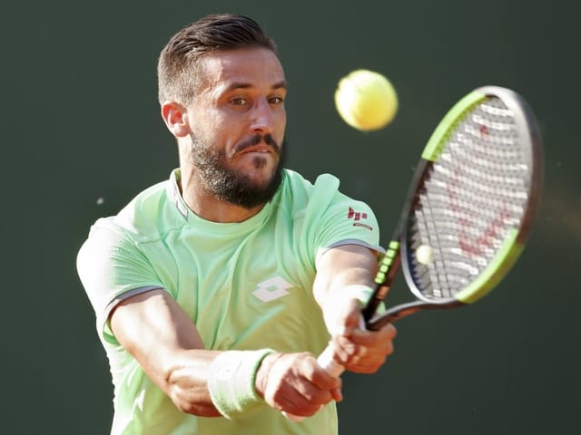Damir Dzumhur Damir Dzumhur