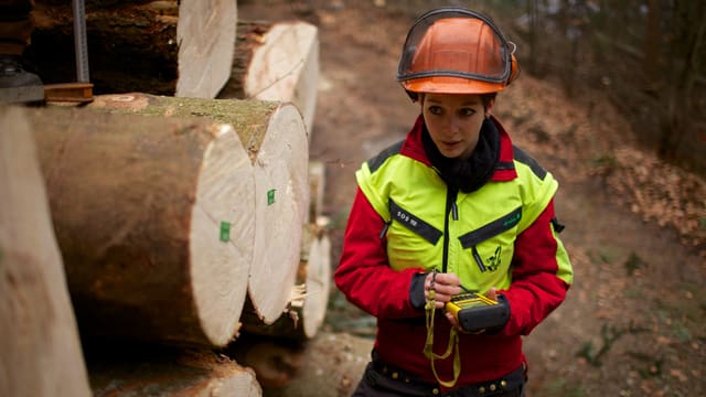 Eine Försterin in Schutzhelm und leuchtend gelber Weste steht vor frisch gefällten Baumstämmen. Eine Försterin in Schutzhelm und leuchtend gelber Weste steht vor frisch gefällten Baumstämmen.