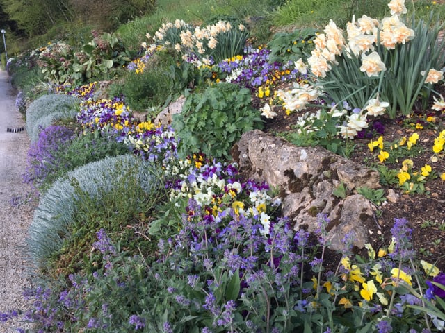 Garten