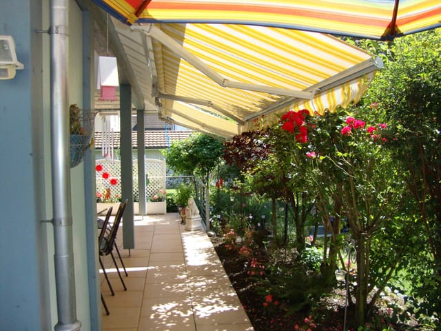 Blick auf schattige Terrasse mit Rosenbüschen umsäumt.