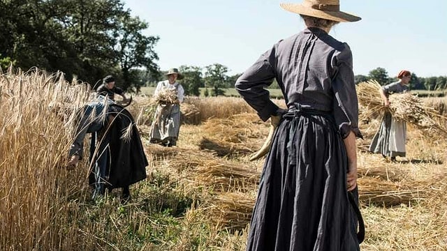Frauen arbeiten auf dem Feld. Frauen arbeiten auf dem Feld.