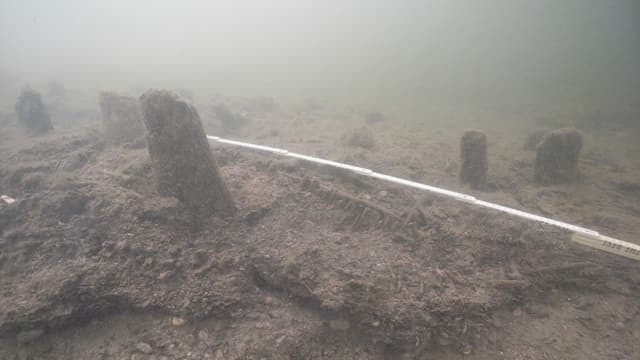 Die Pfähle am Seegrund sind Zeugen der alten Phalbauerhäuser. Die Pfähle am Seegrund sind Zeugen der alten Phalbauerhäuser.