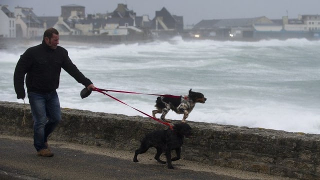 Spaziergänger mit Hunden am Strand in der Nähe von Brest. Spaziergänger mit Hunden am Strand in der Nähe von Brest.