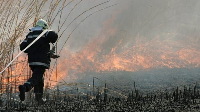 Ein Feuerwehr Mann läuft auf ein brennendes Feld zu. Ein Feuerwehr Mann läuft auf ein brennendes Feld zu.