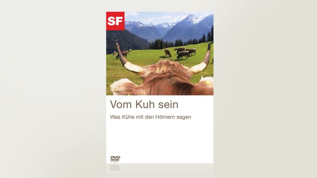Vom Kuh sein Vom Kuh sein