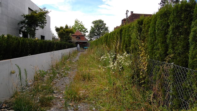 Ein überwachsener Weg zwischen Betonmauer und Zaun. Ein überwachsener Weg zwischen Betonmauer und Zaun.