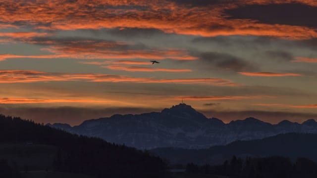 Auf dem Säntis lag die Durchschnittstemperatur im Dezember nur knapp unter dem Gefrierpunkt. Auf dem Säntis lag die Durchschnittstemperatur im Dezember nur knapp unter dem Gefrierpunkt.