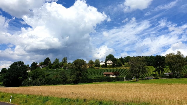 Quellwolken und blauer Himmel über Seengen. Quellwolken und blauer Himmel über Seengen.
