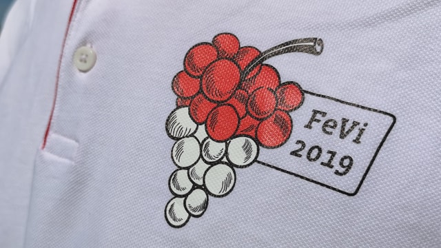 Logo FeVi 2019. Logo FeVi 2019.