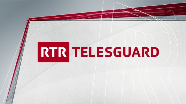 Logo Telesguard. Logo Telesguard.