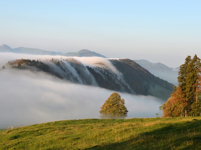 Der Nebel stürtzt wie ein Wasserfall über eine Bergflanke.