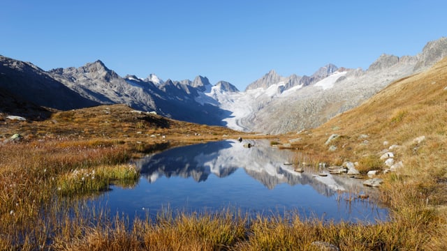 Kleiner Bergsee vor dem Oberaargletscher und einem wolkenlosen Himmel. Kleiner Bergsee vor dem Oberaargletscher und einem wolkenlosen Himmel.