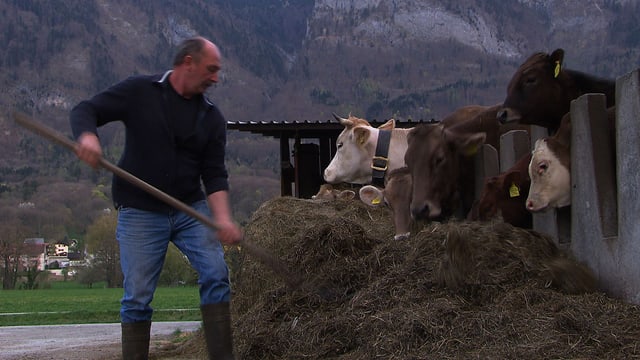 Vorarlberg sieht Tradition in Gefahr (03.04.2014)