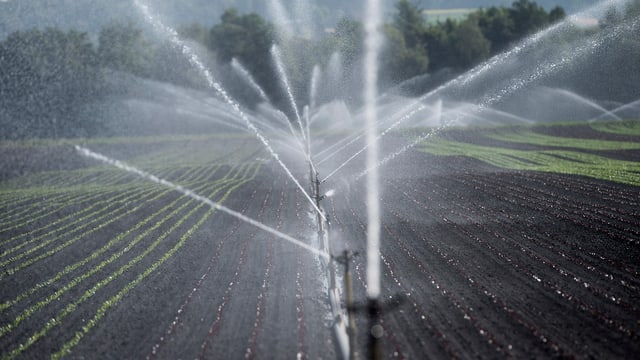 Wassersprenger. Wassersprenger.