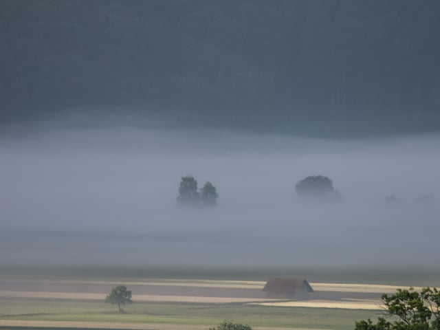 Blick auf eine Ebene in einem Tal mit einigen Bäumen und Nebel.