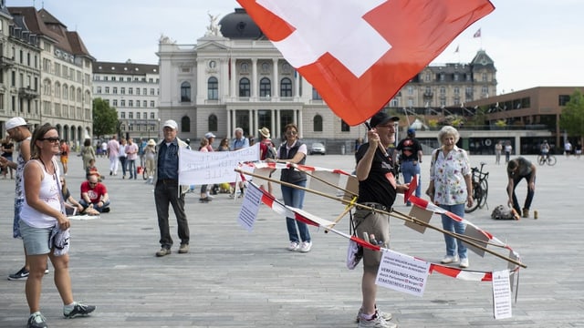 Demonstranten in Zürich.