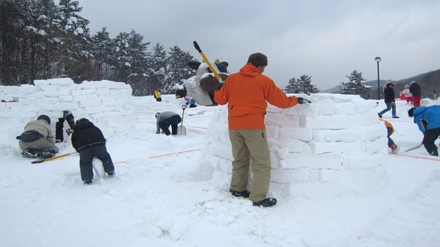 Iglu Iglu