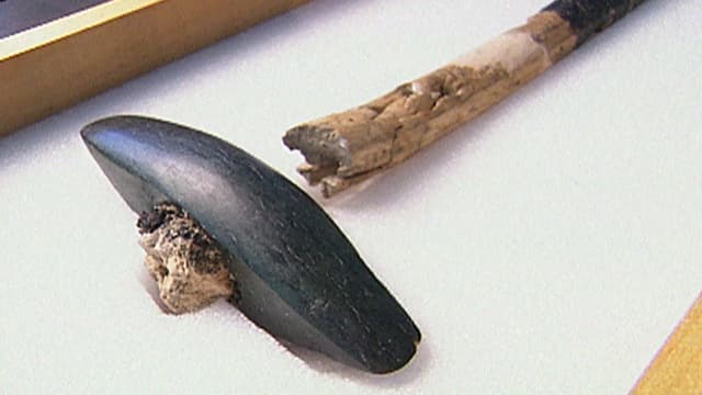 Die Steinzeit-Axt ist in einer Vitrine ausgestellt. Der Stiel ist abgebrocken. Die Steinzeit-Axt ist in einer Vitrine ausgestellt. Der Stiel ist abgebrocken.