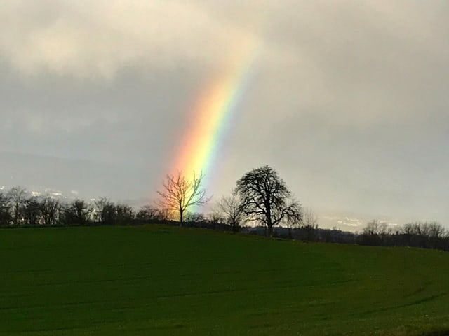 Regenbogen am Himmel