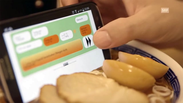 Ein Smartphone steckt in einer überteuerten asiatischen Suppen-Attrappe. Ein Smartphone steckt in einer überteuerten asiatischen Suppen-Attrappe.
