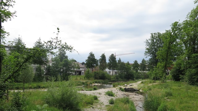 Murgauenpark Murgauenpark