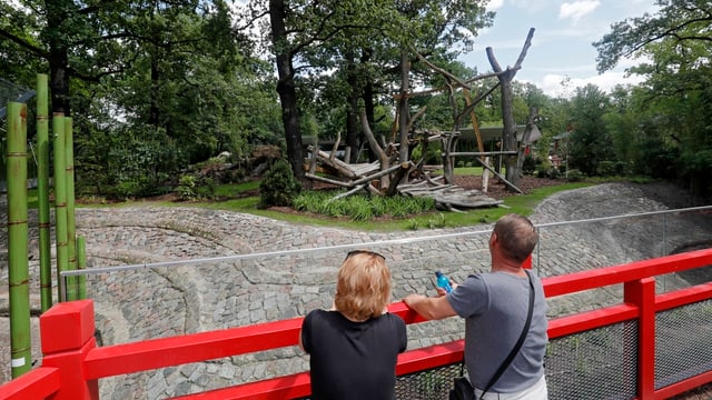 Zoobesucher schauen in das noch leere Gehege. Zoobesucher schauen in das noch leere Gehege.