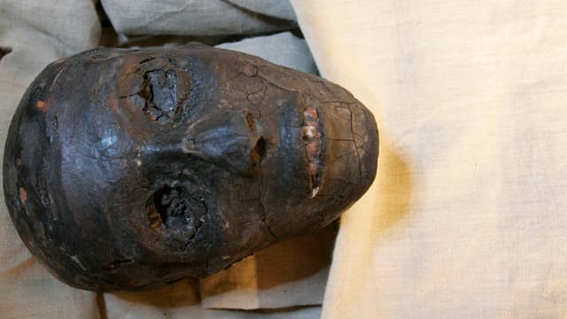 Der Kopf der Mumie des Pharaos. Der Kopf der Mumie des Pharaos.