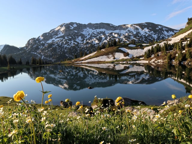Der Bergsee leuchtet mit dem Himmel um die Wette.