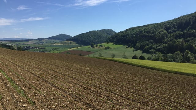 Acker, dahinter Felder und Wälder. Acker, dahinter Felder und Wälder.