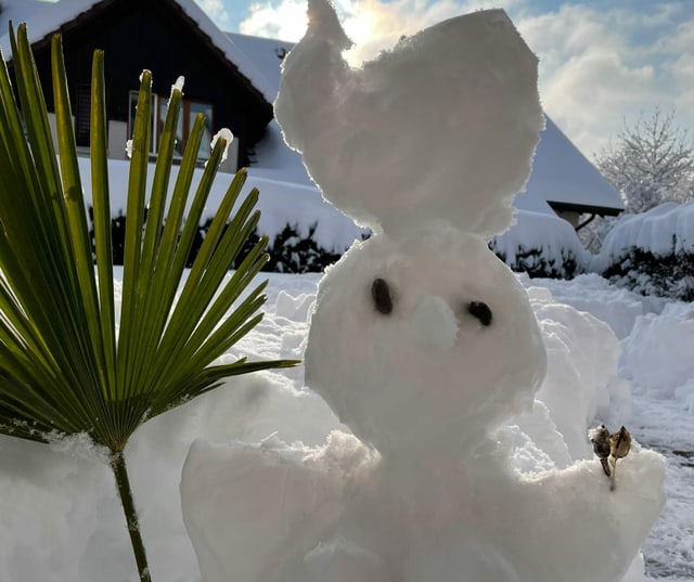 Schneefrau