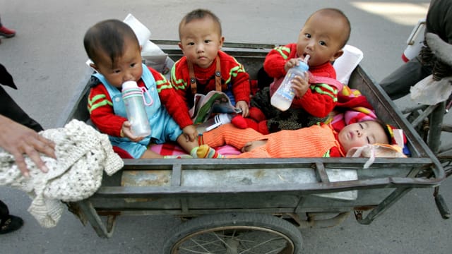 Vier chinesische Babys in einem Wagen Vier chinesische Babys in einem Wagen