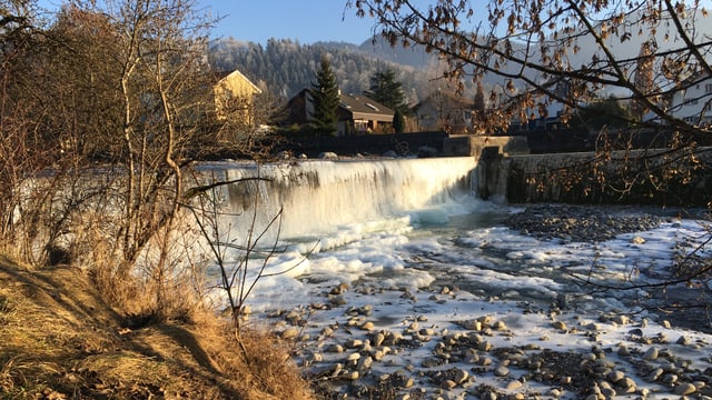 Die Zulg mit wenig Wasser Die Zulg mit wenig Wasser