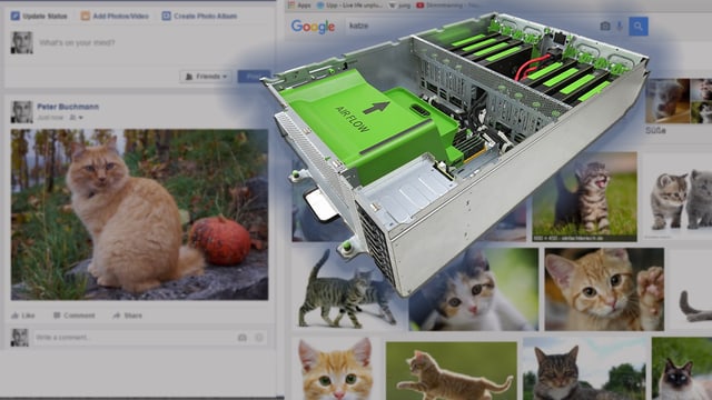 Collage: Offener Comuter Big Sur, im Hintergrund Katzenbilder bei Facebook und Google