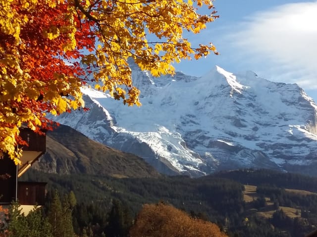 Schneeberge, gelbe und rötliche Blätter davor.