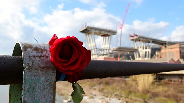 Eine Rose im Vordergrund, zwei Brückenpfeiler im Hintergrund Eine Rose im Vordergrund, zwei Brückenpfeiler im Hintergrund