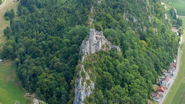 Luftaufnahme Schloss Neu-Falkenstein