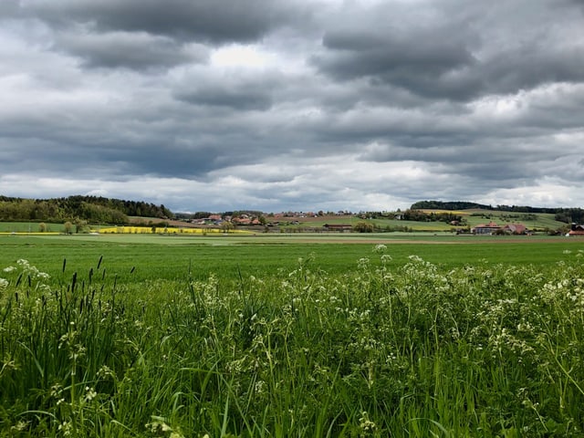 Grau Wolken über grüner Wiese.