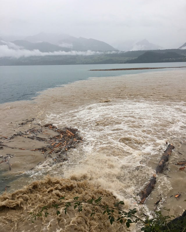 Schwemmholz treibt im Thunersee bei Gunten. Die Seepolizei überlegt, ob eine Sperre eingebaut werden muss. Schwemmholz treibt im Thunersee bei Gunten. Die Seepolizei überlegt, ob eine Sperre eingebaut werden muss.
