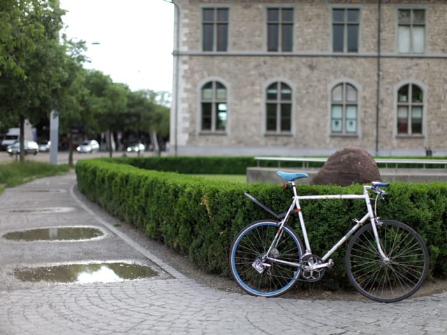 Benis Velo bei der Hecke.