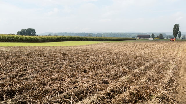 Landwirtschaft in der Schweiz. Landwirtschaft in der Schweiz.