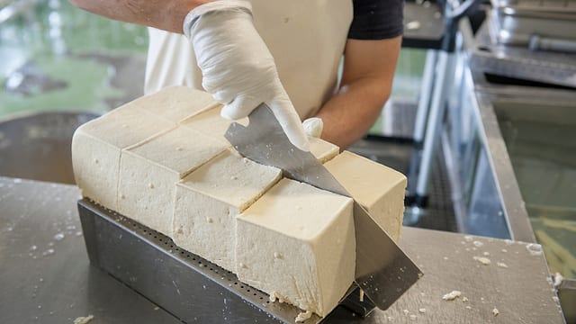 Soja-Masse in Stücke geschnitten. Soja-Masse in Stücke geschnitten.