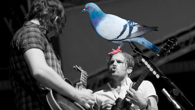 Kings Of Leon Kings Of Leon