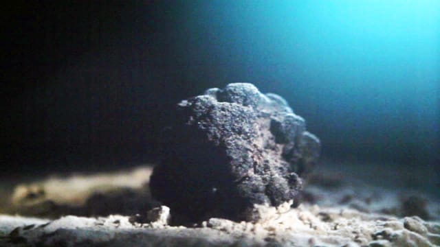 Video «Goldrausch in der Tiefsee» abspielen Video «Goldrausch in der Tiefsee» abspielen