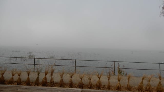 Dicker Nebel über dem Murtensee. Dicker Nebel über dem Murtensee.