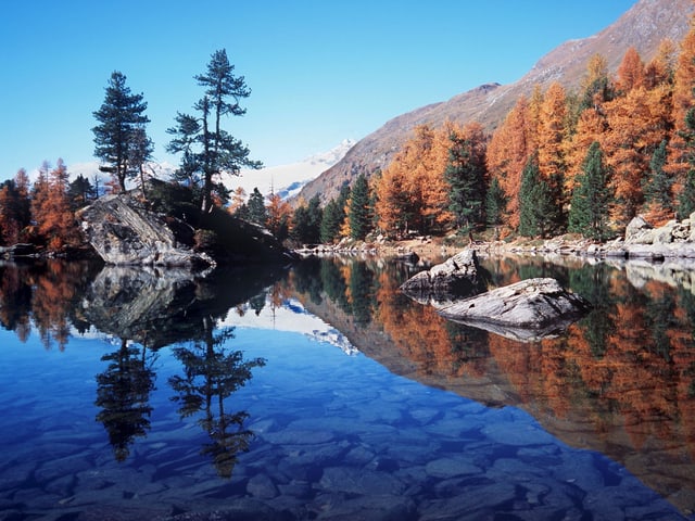 Spiegelglatter Bergsee, gelbe Lärchen.