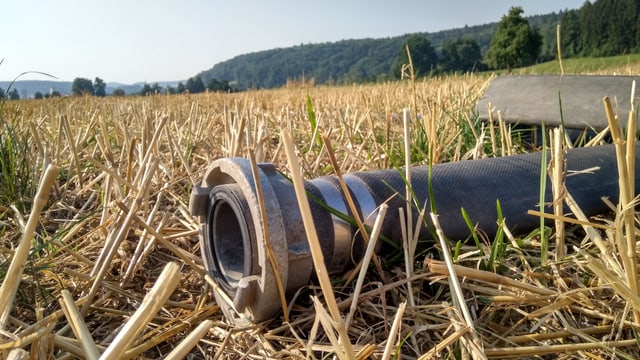 Ein Schlauch liegt auf einem Feld. Ein Schlauch liegt auf einem Feld.