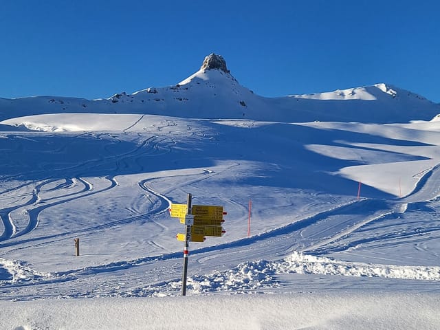 Bergkulisse plus Wegweiser.