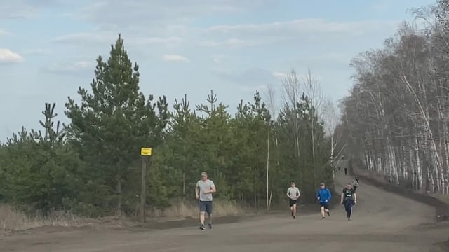 Joggende Männer auf Strasse zwischen Tannen und Birken Joggende Männer auf Strasse zwischen Tannen und Birken